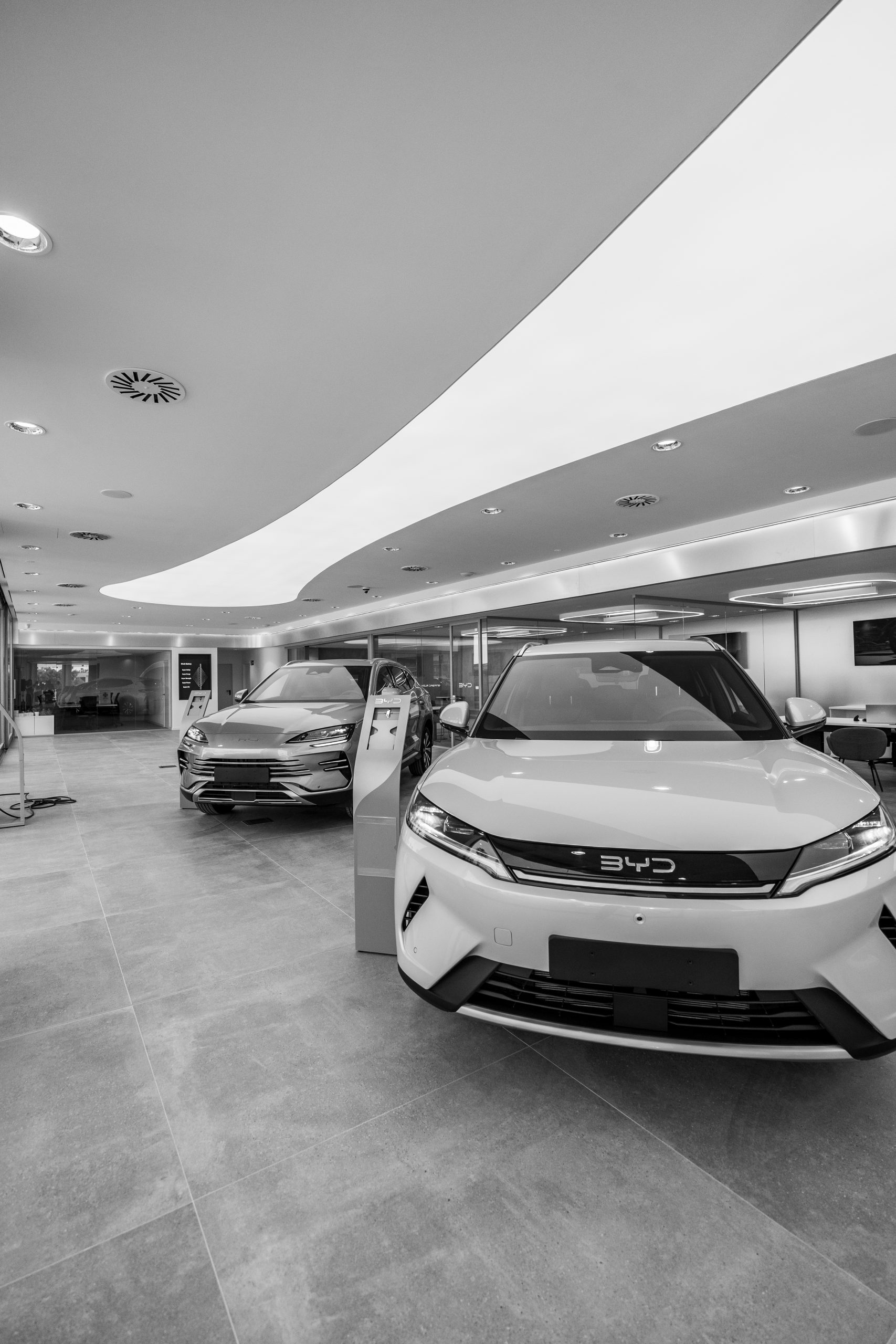 BYD PATERNA