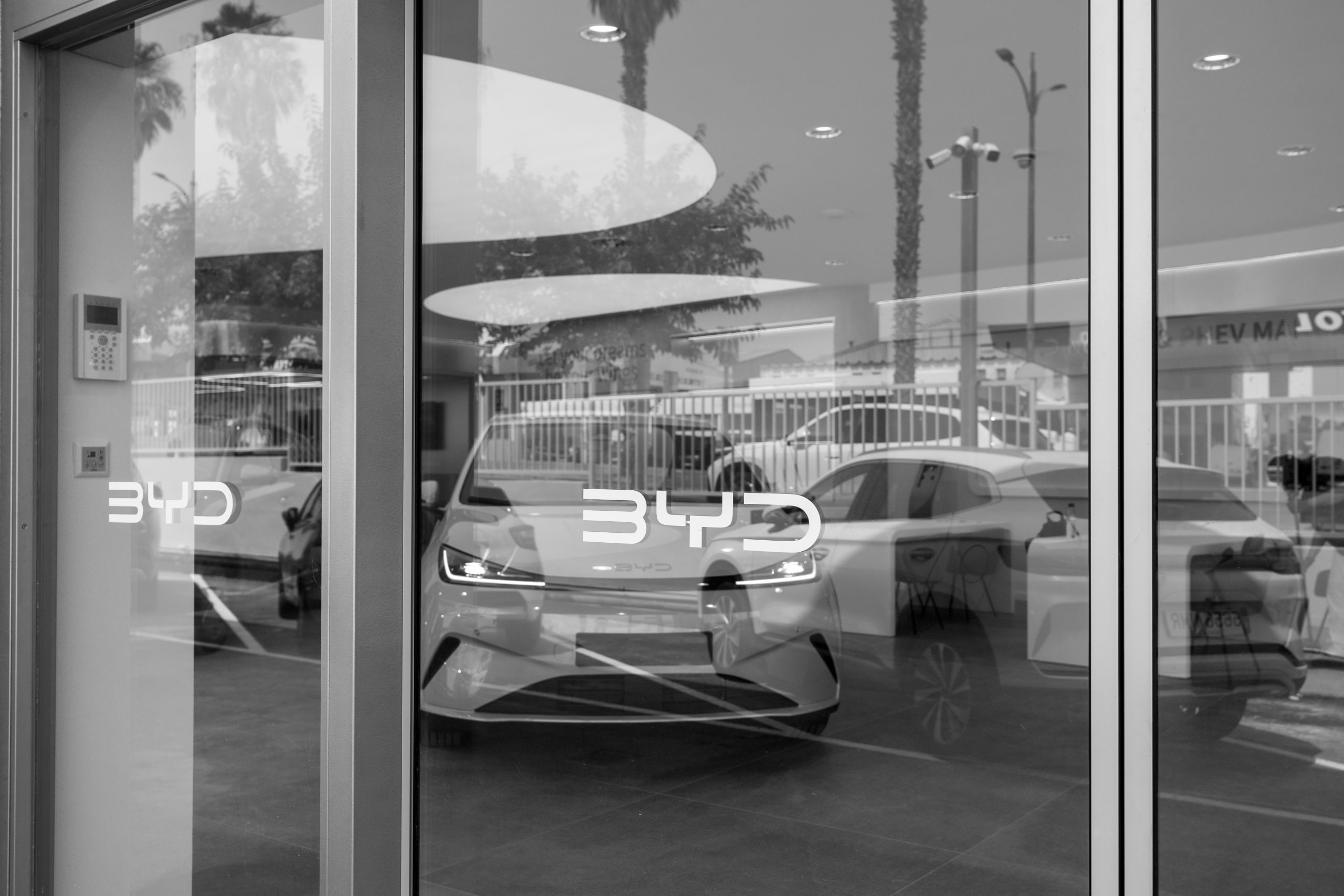 BYD PATERNA
